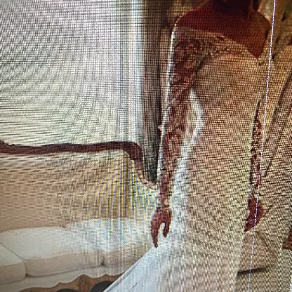 Ordered a number of dresses, chose a more casual option